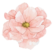 Untitled design (3).png