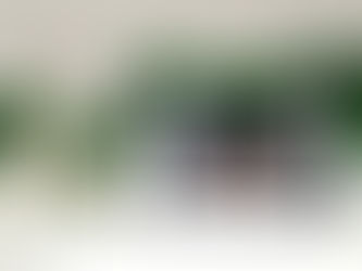 My artwork made it to a Scotland wall! Merry Christmas everyone!