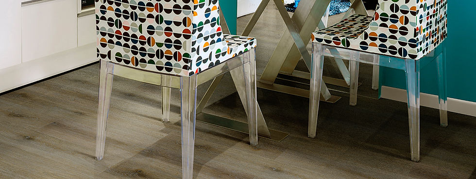 37009381_Calêndula(Ambiente)