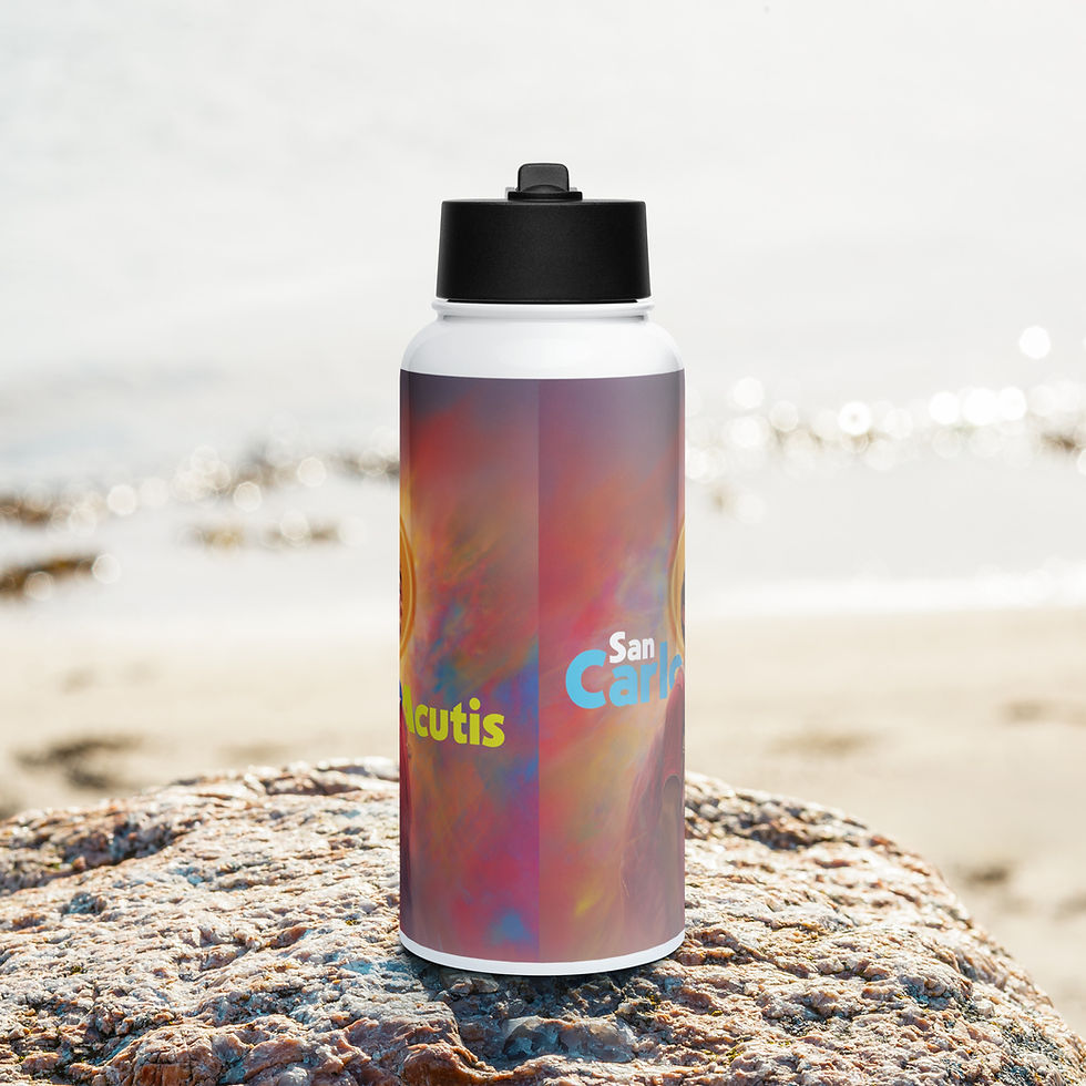 Miniatura: San Carlo Acutis / Stainless steel water bottle with a straw lid