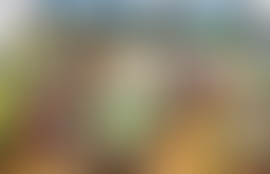 1. Bauabschnitt:  Mitteldeutschland, Knuffingen, Österreich  