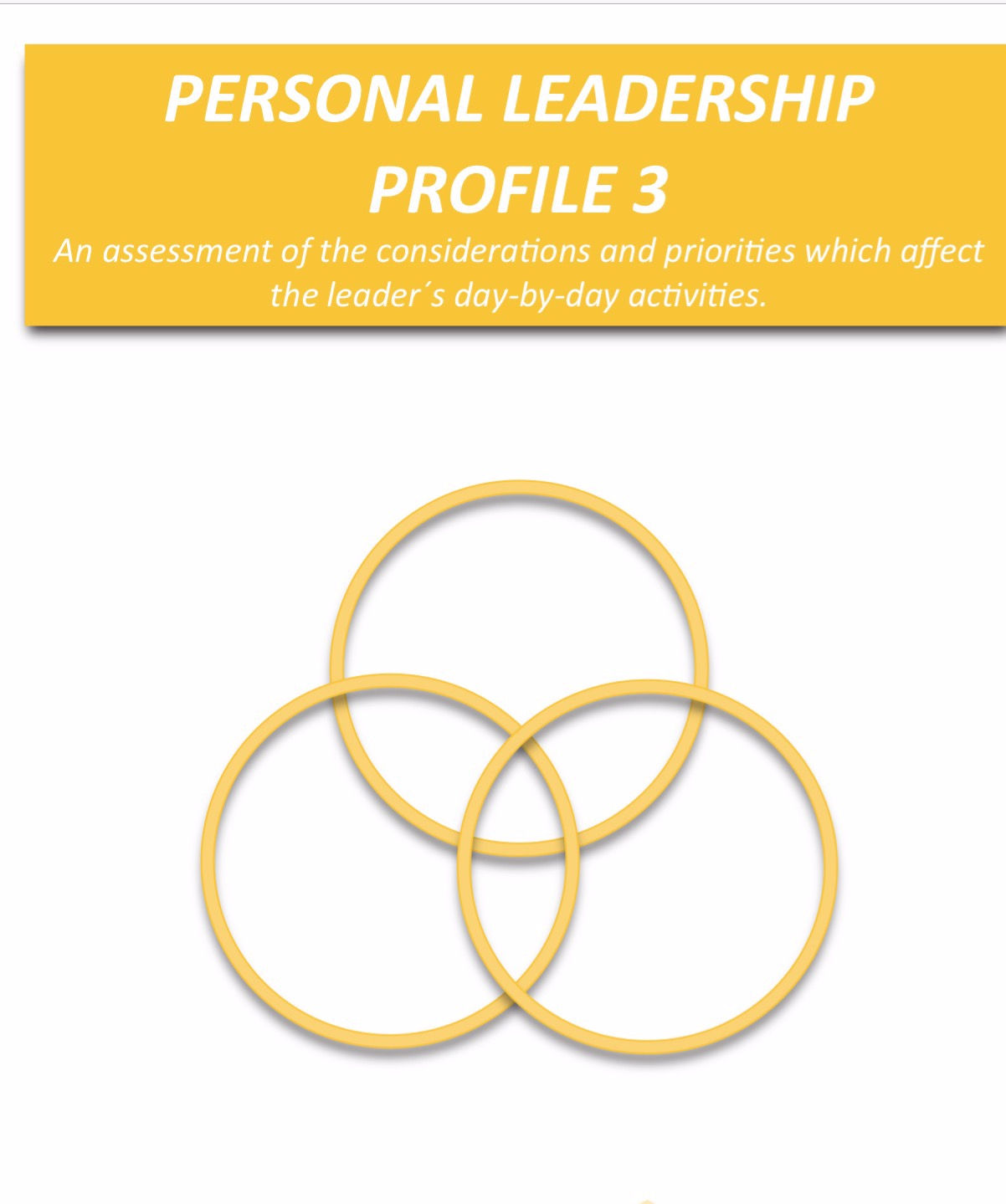 Online Action Centred Leadership Profile 3