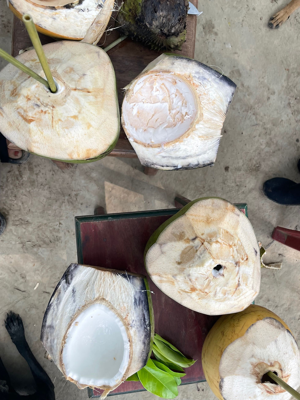 Coconut water and flesh