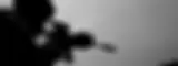 4.webp