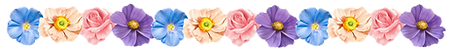Untitled design (1)_edited.png