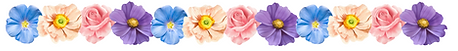 Untitled design (1).png
