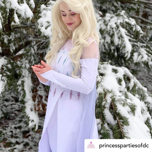 Dreamy collection Frozen2 Elsa epilogue dress Hana Castle store