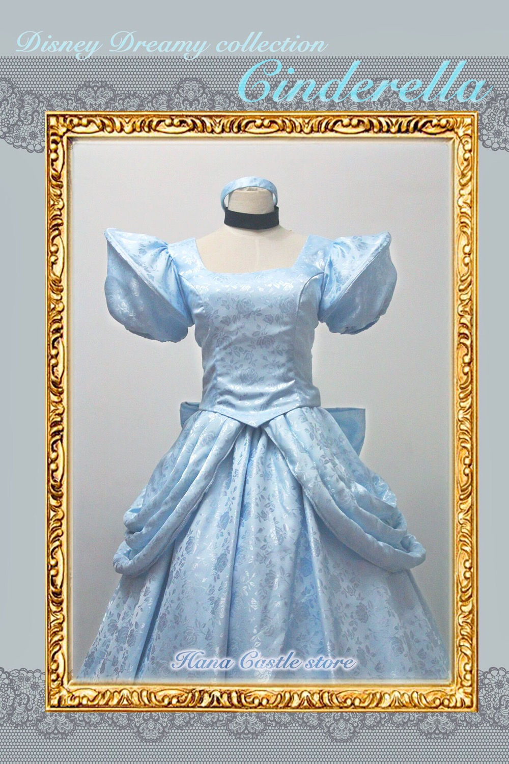 Dreamy collection cinderella dress cd01