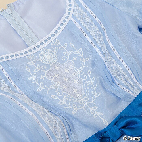 Secret honey Disney Peter Pan you can fly Wendy halloween dress