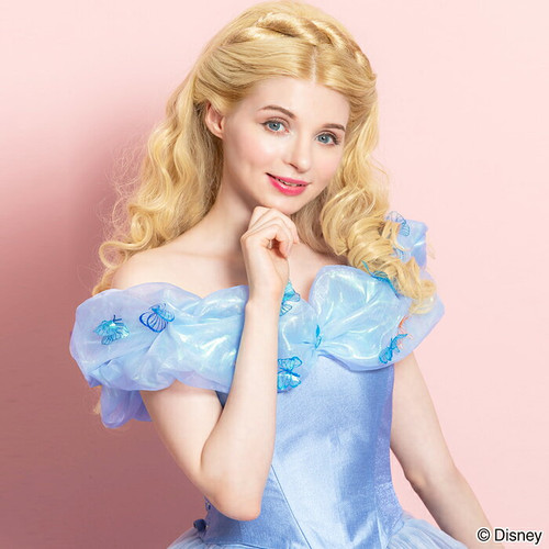 Secret Honey Disney Princess Cinderella a dream is a wish your