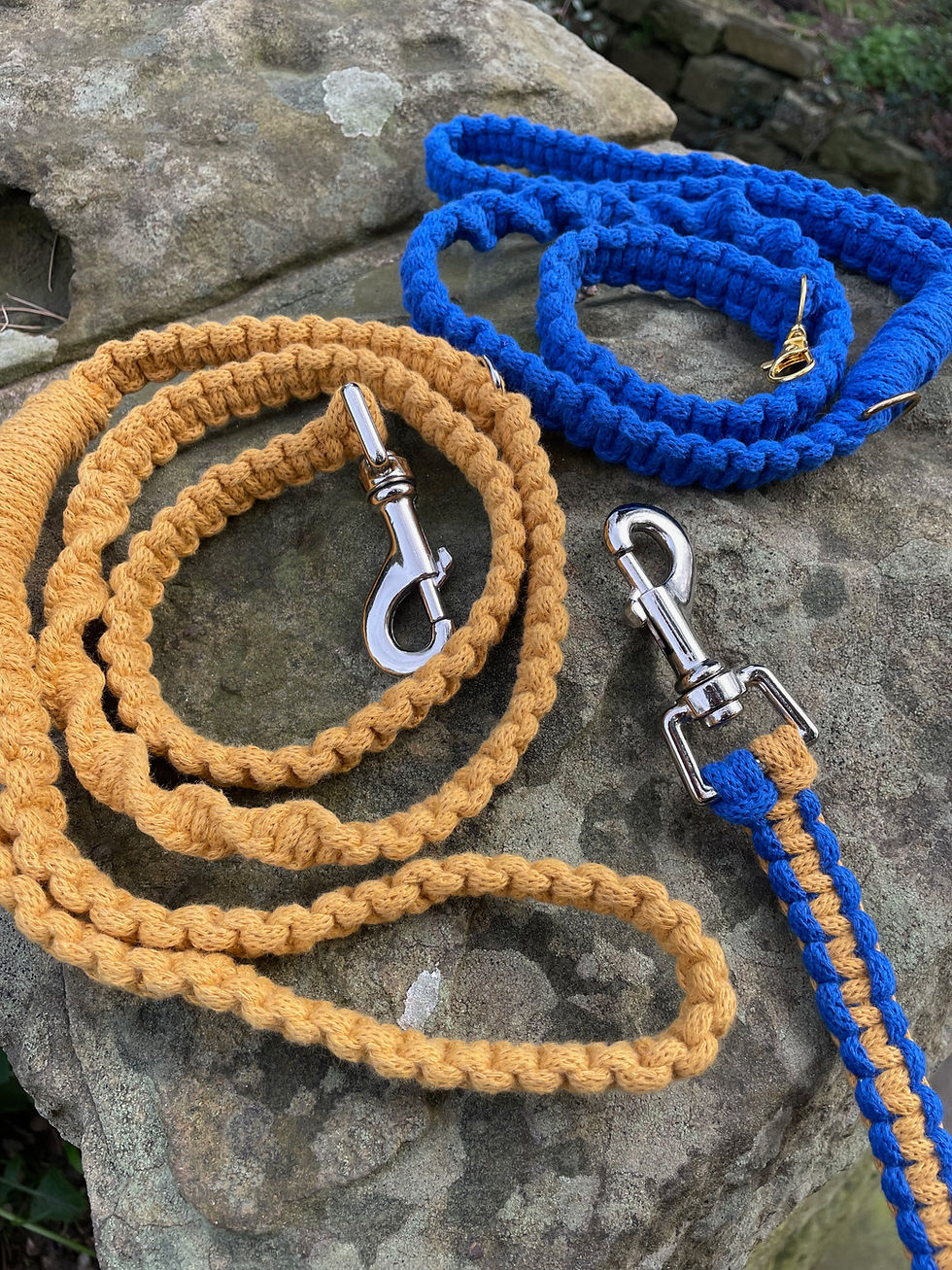 MACRAME DOG LEAD & COLLAR