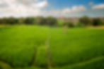 Surroundings 1.jpg