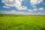 Surroundings 2.jpg