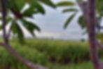 Surroundings 3