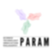 paraminnovation_logo.jpeg