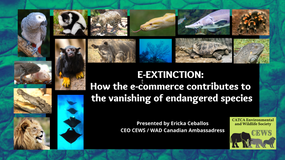 World Wildlife Day 2021