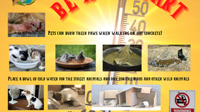 It's HOT! / Hay mucho calor!