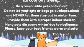 WINTER: Protect your pets
