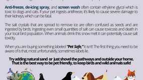 WINTER: Dangers of ice melt products to animals