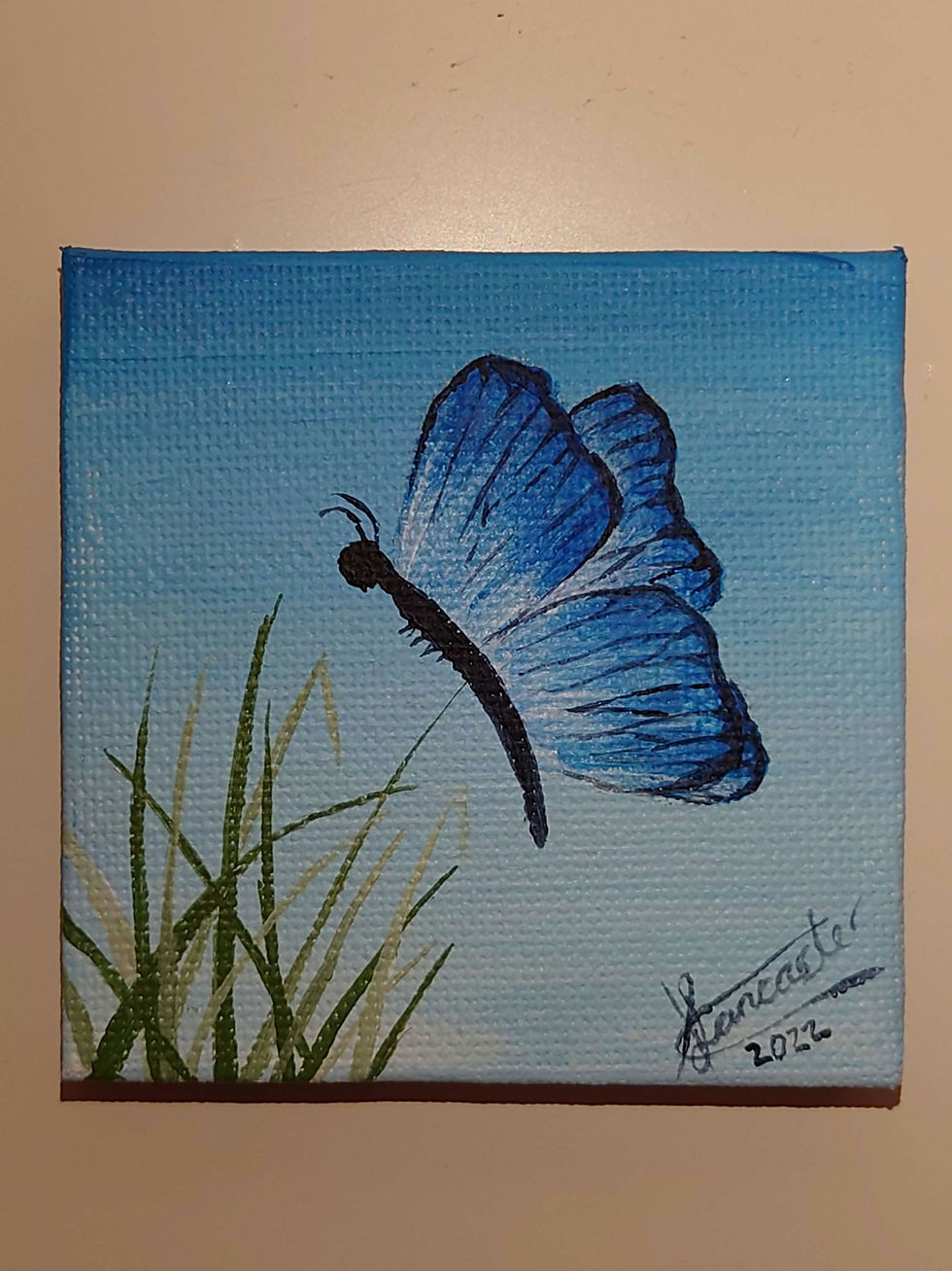 Thumbnail: Butterfly Magnet 7cm x 7cm