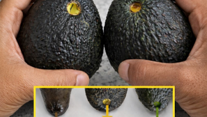 No volverás a elegir mal un aguacate con este método fácil en segundos