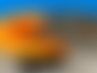 El Increíble Invento con un Cubo Viejo que Dejó a los especialistas de bricolaje sin Palabras