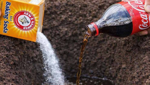 Mezcla bicarbonato con Coca-Cola en tu patio: un experto explica lo que realmente ocurre