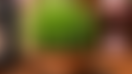 La planta que los insectos no soportan: reduce plagas de forma natural en casa