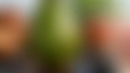 Pon un aguacate en la hornilla: El experimento casero que parece magia pero merece una oportunidad