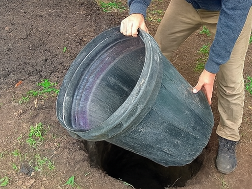 🪣 ¡Genial idea! Entierra un barril en tu patio y soluciona un gran problema! 😱💡