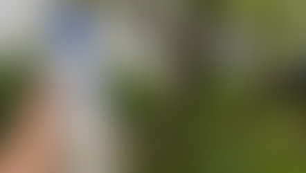 Con esta receta casera puedes eliminar plagas en tus plantas de forma rápida y efectiva al instante