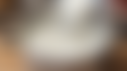 Así preparas queso casero en minutos… El secreto que pocos conocen de un chef experto