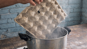 Antes de tirar los cartones de huevos, mira esto: el inesperado uso que puede transformar tu hogar