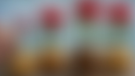 🌹 Planta una rosa en una patata y mira lo que sucede… el resultado sorprende a los jardineros mas expertos