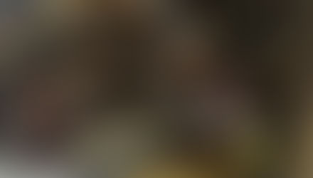 Transforma tu Vehículo: La Magia de las Barras Oscilantes