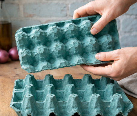 No volverás a tirar los cartones de huevos: el invento casero que está cambiando los hogares por dentro