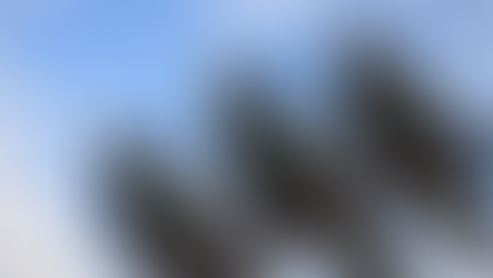 Por qué los pájaros no se electrocutan en cables de alta tensión (la razón que casi nadie imagina)