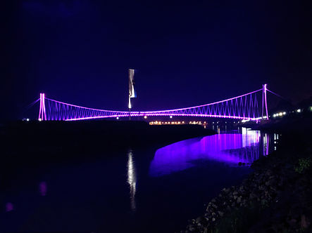 image_6483441.JPG