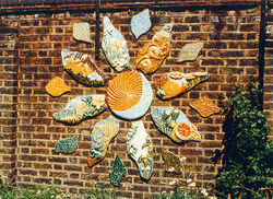Sunflower Seasons