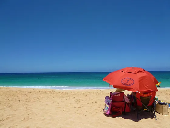 ライフスタイル ハワイ ハワイライフジャーナル About Kukui