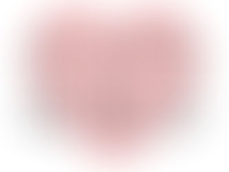 No School - February 13th & 27th