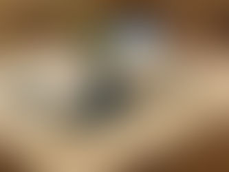 >Liebes Buddelbuch ...