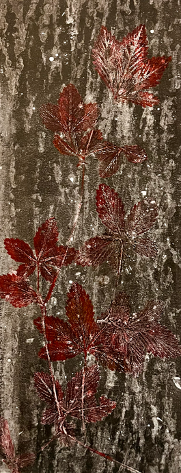 Bark and Red Leaves