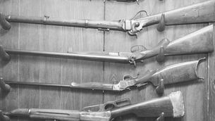(VIC) Prohibit the Storage of Non-Occupational Firearms in Metropolitan Homes