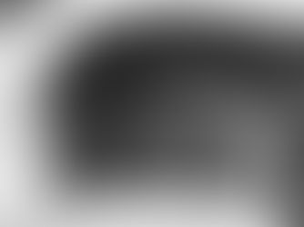 (VIC) Include Excessive Speeding Offences Within Eligible Infringements Under The Family Violence Scheme