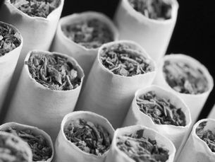 (NSW) Ban Cigarette Filters