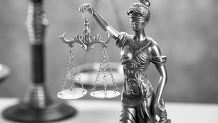 (Cth) Remove the Mandatory Adverse Credibility Finding Against Asylum Seekers