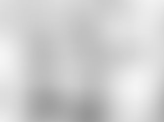 (Cth) Increase the Eligibility Cut-off Age for the Parenting Payment Single from 14 to 16