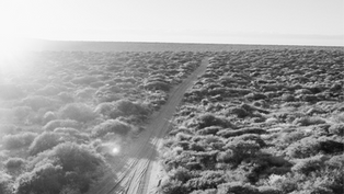 (Cth) Prohibit Gag Clauses in Indigenous Land Use Agreements