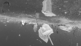 (SA) Include Microplastics as a Water Pollutant 